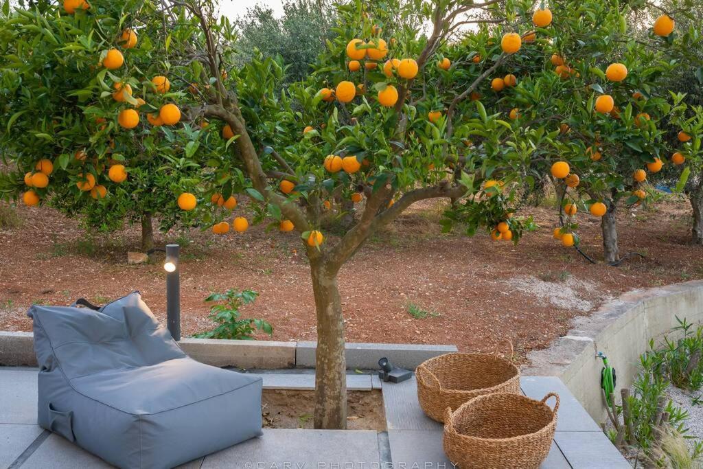 Orange Tree Villa Porto Heli Exterior photo
